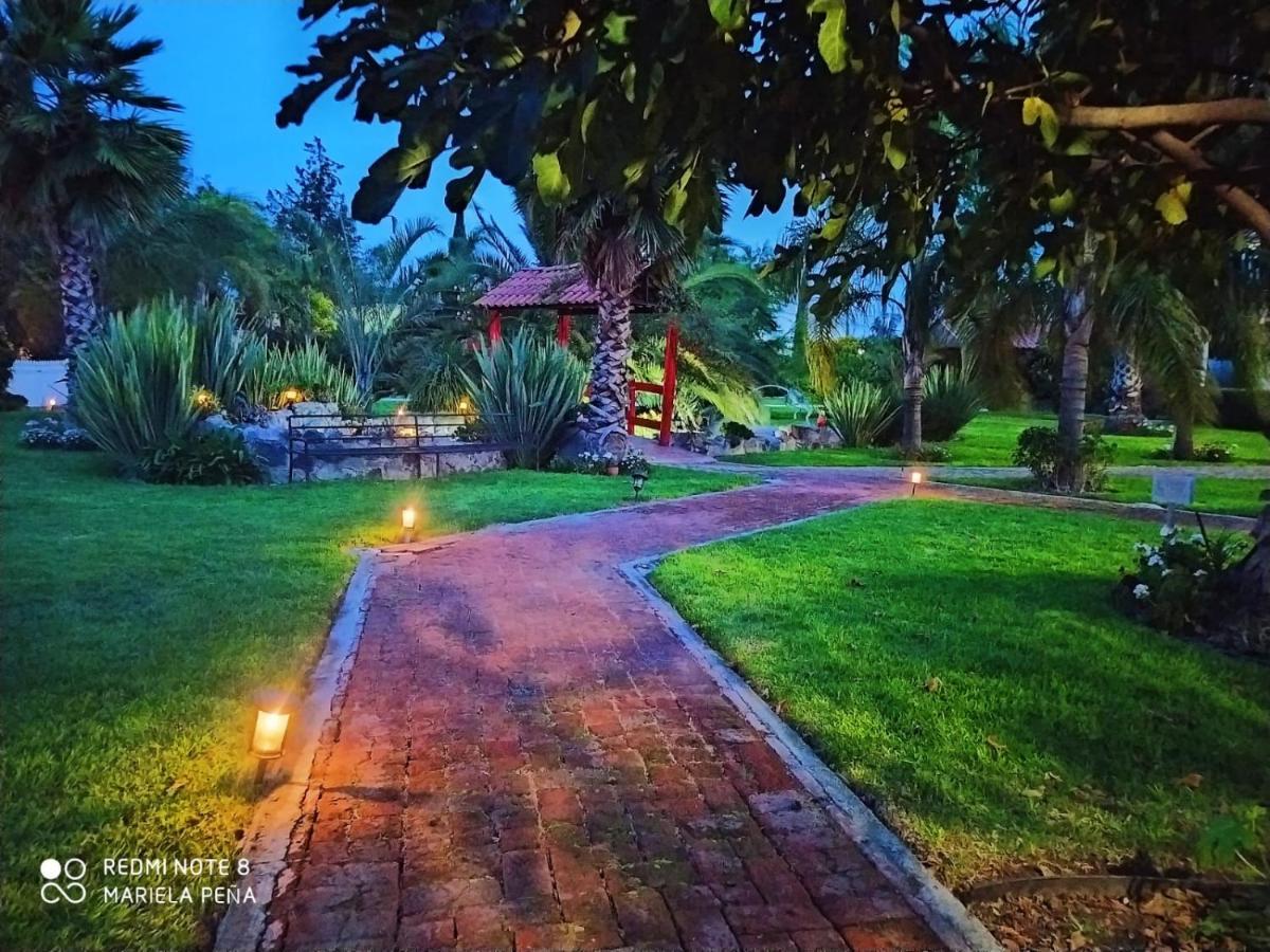 Hotel Palmas Teotihuacán San Juan Teotihuacán Kültér fotó