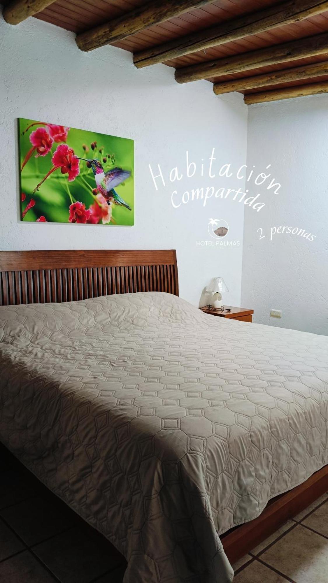 Hotel Palmas Teotihuacán San Juan Teotihuacán Kültér fotó